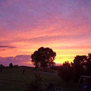 Meet your Posher, Eileen